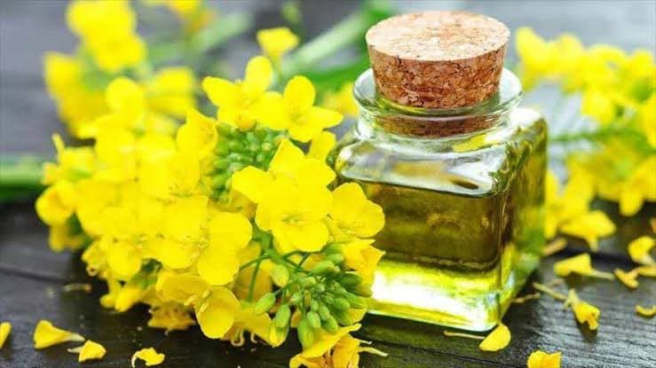 تصویر 4 از روغن کنجد برای آشپزی انتخابی مناسب مصرف روزانه